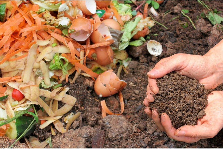 Bokashi Composting Basics