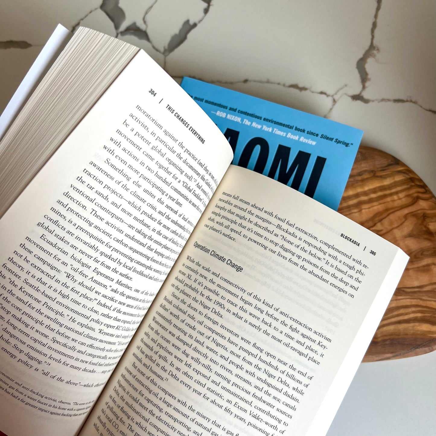 This Changes Everything: Capitalism vs The Climate Book