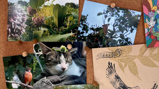 A Year of Glimmers, Growth & Community Nourishment