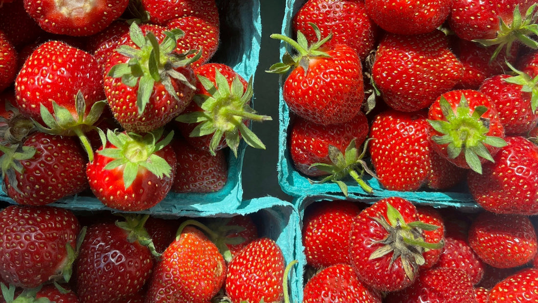Local Guide: Groceries, Produce, & Farmers Markets