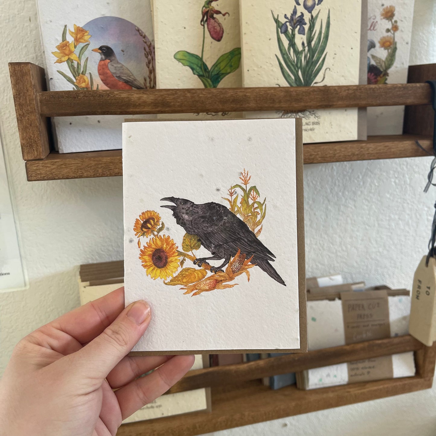Greeting Cards