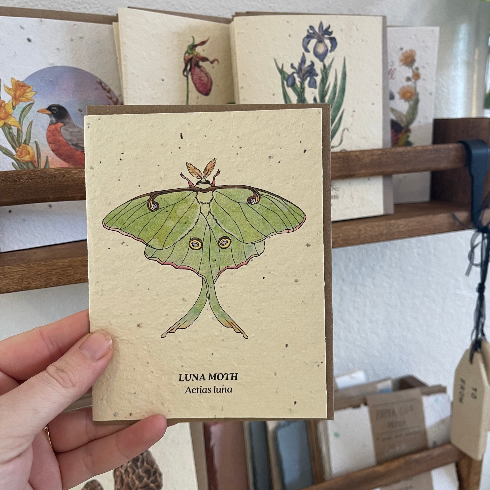Greeting Cards
