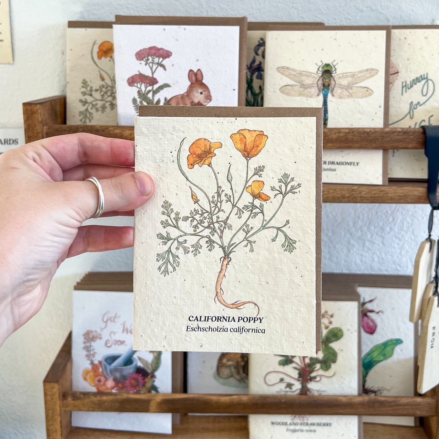 Greeting Cards