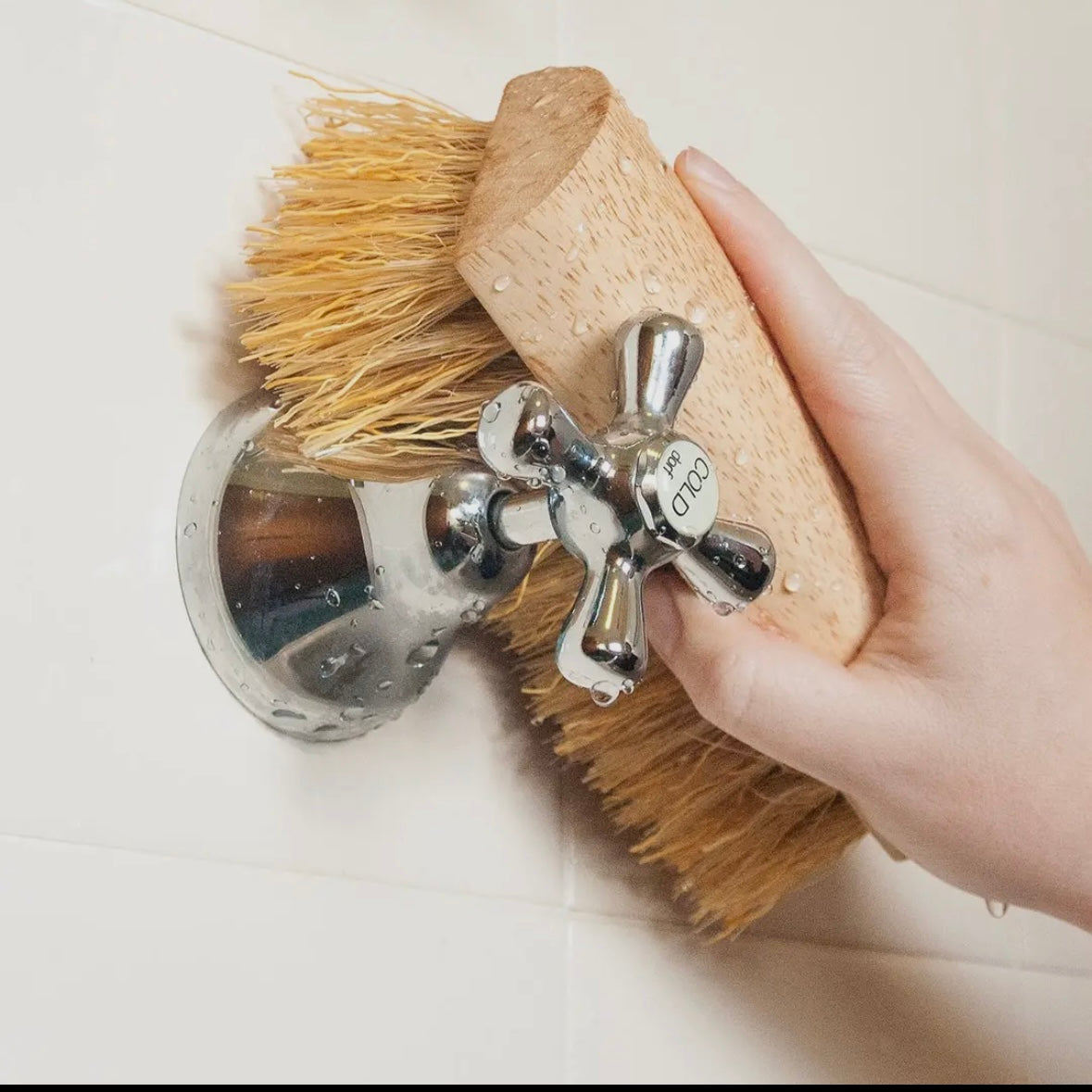 Scrub Cleaning Brush