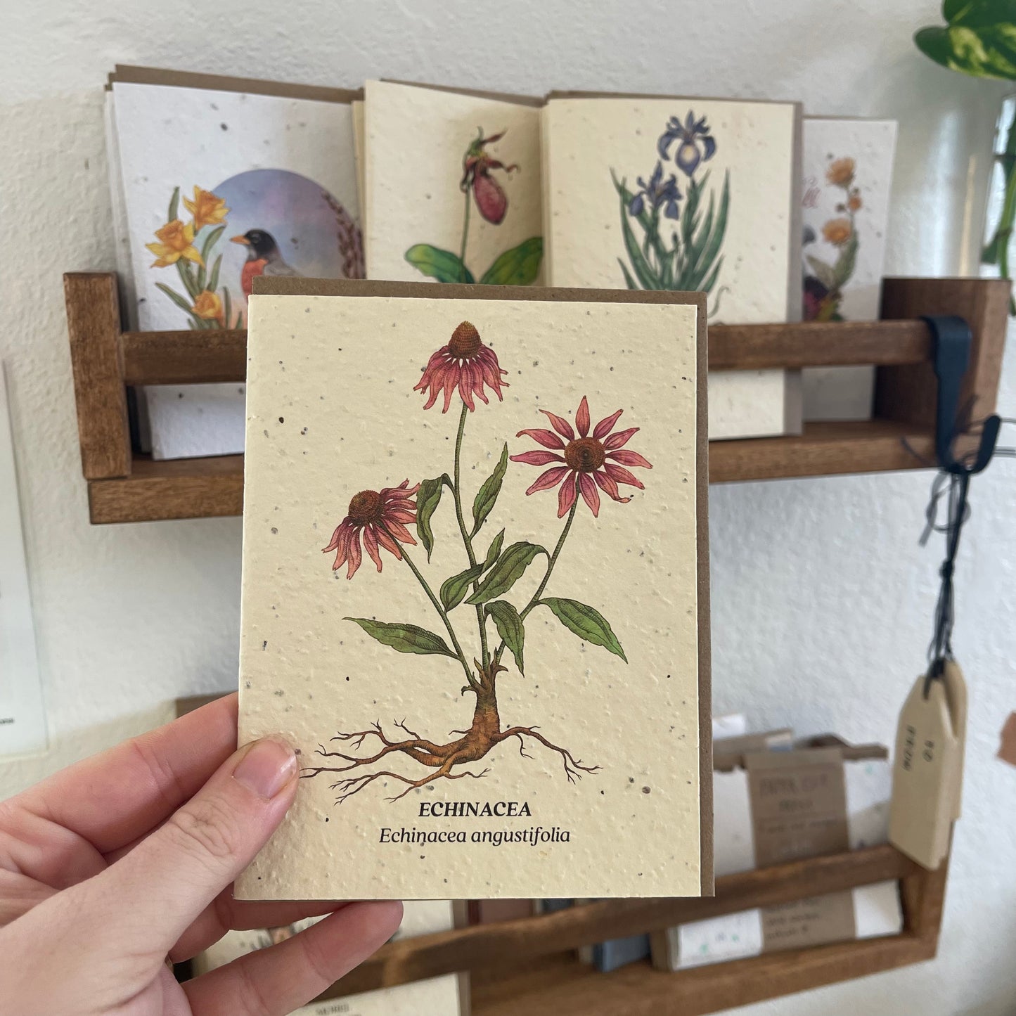 Greeting Cards