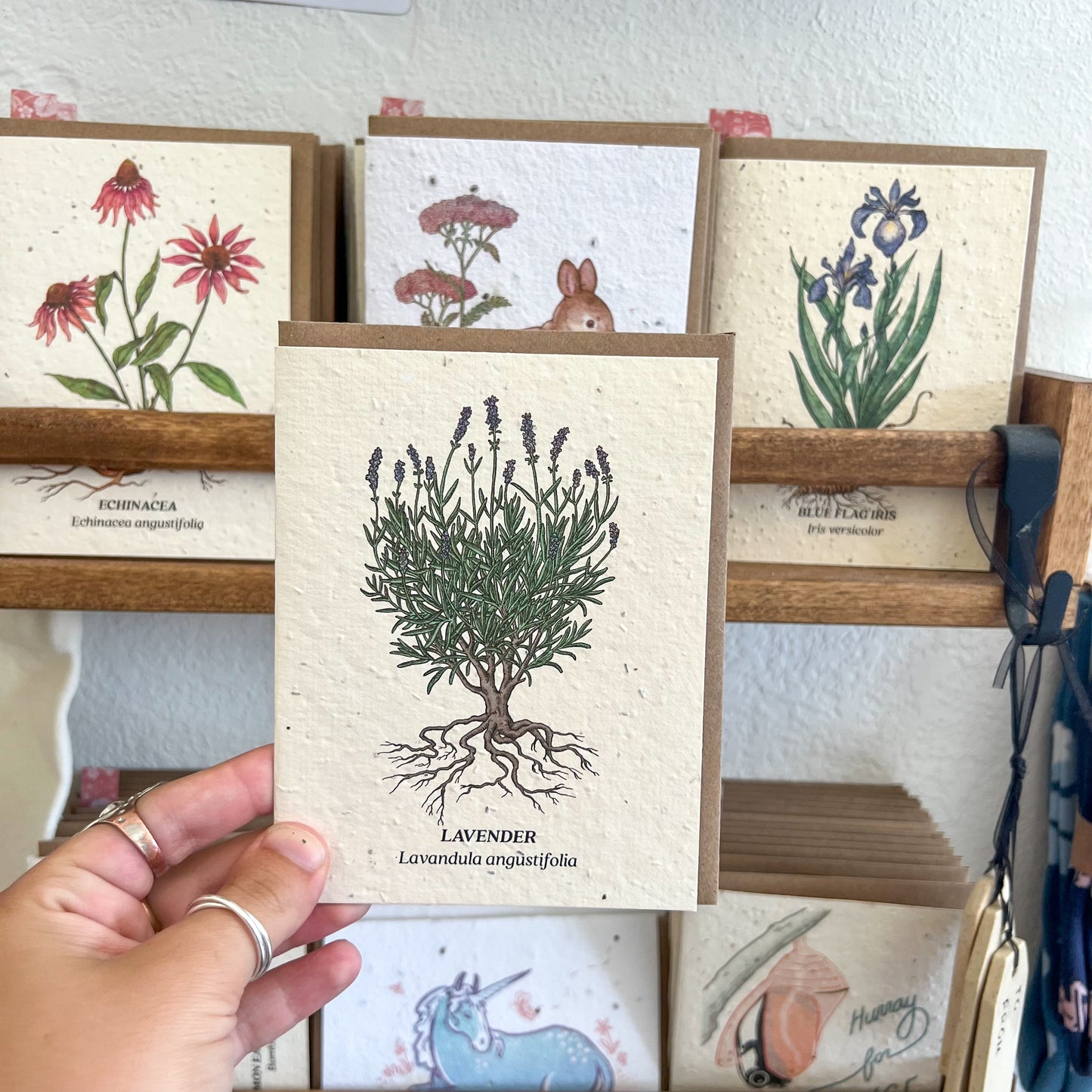 Greeting Cards