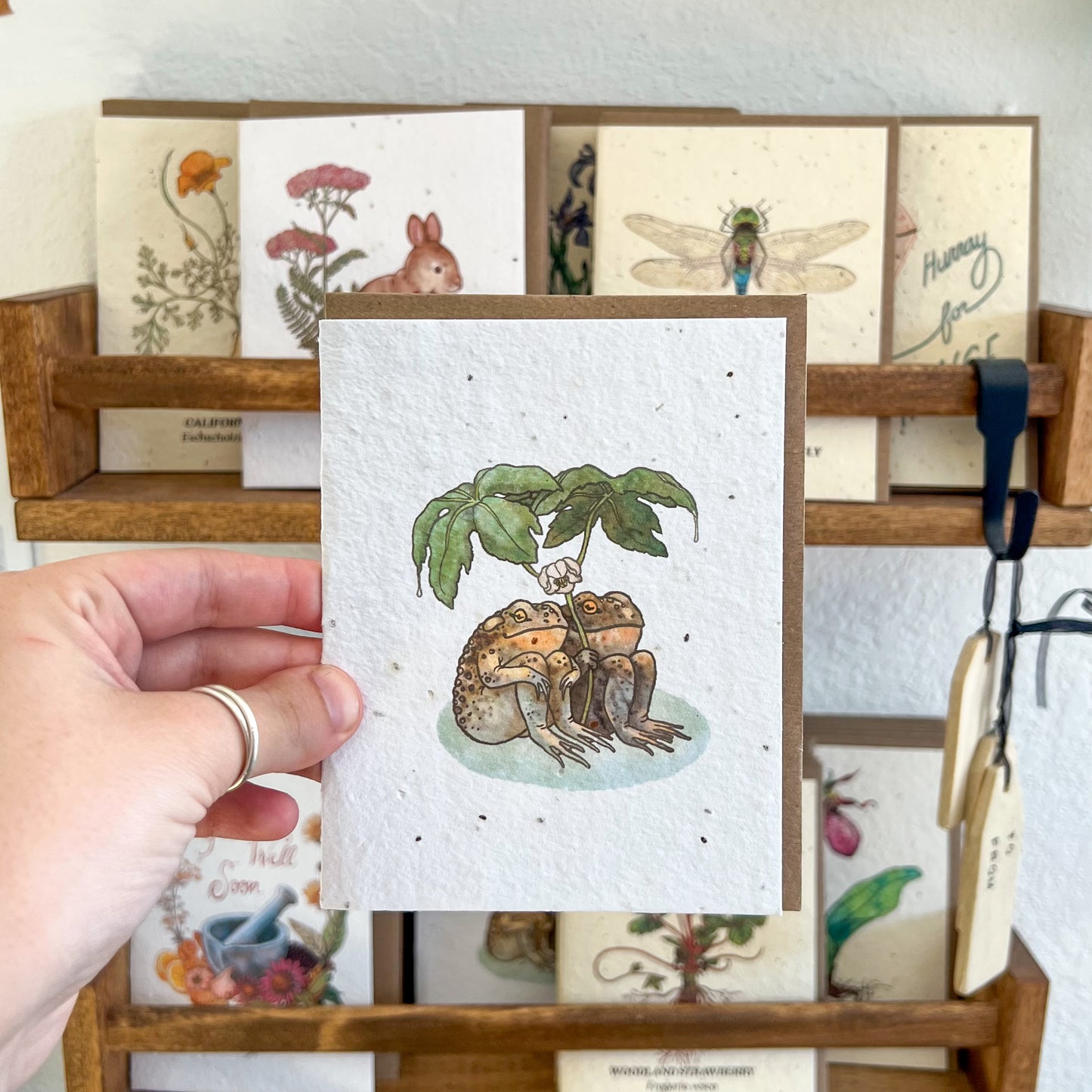 Greeting Cards
