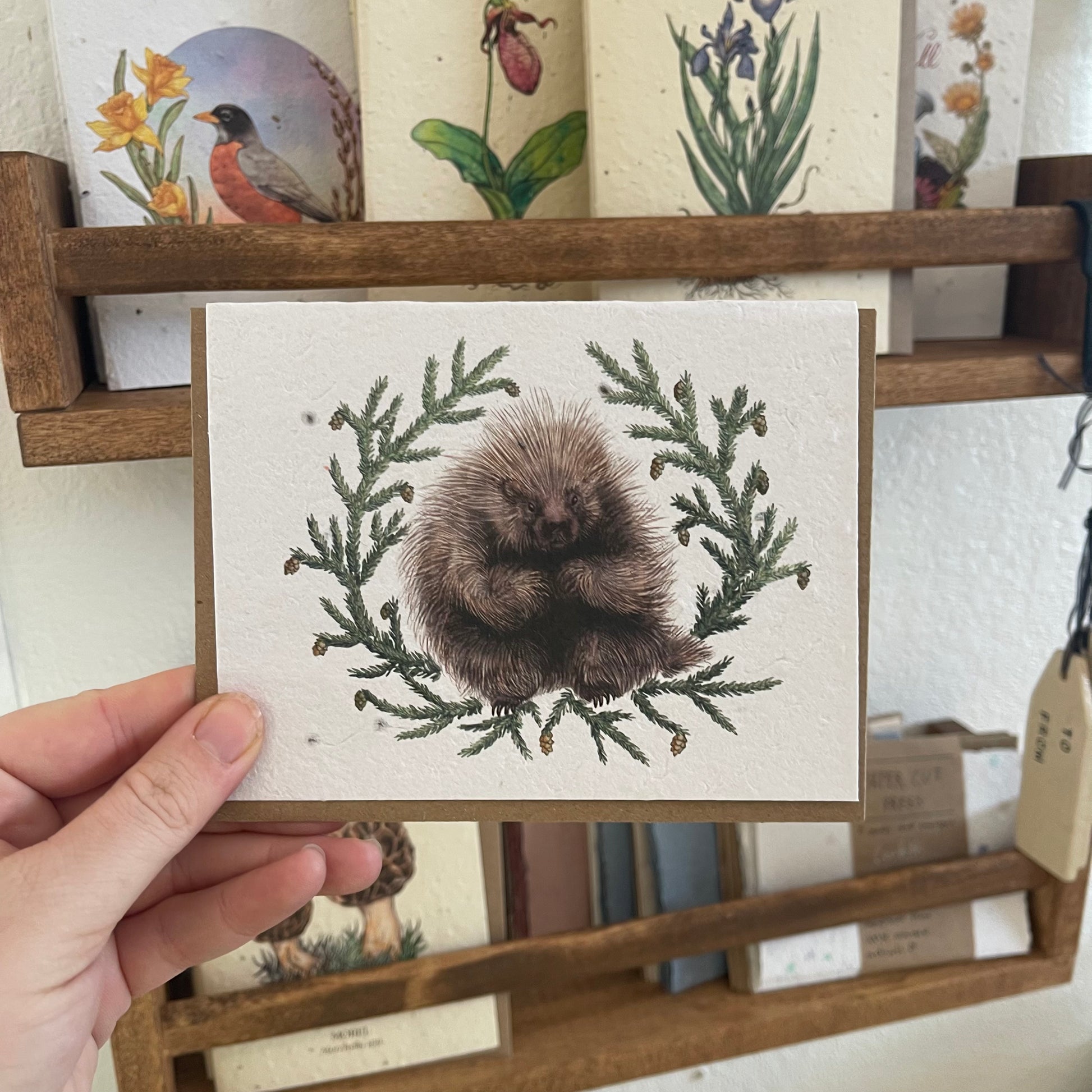 Greeting Cards
