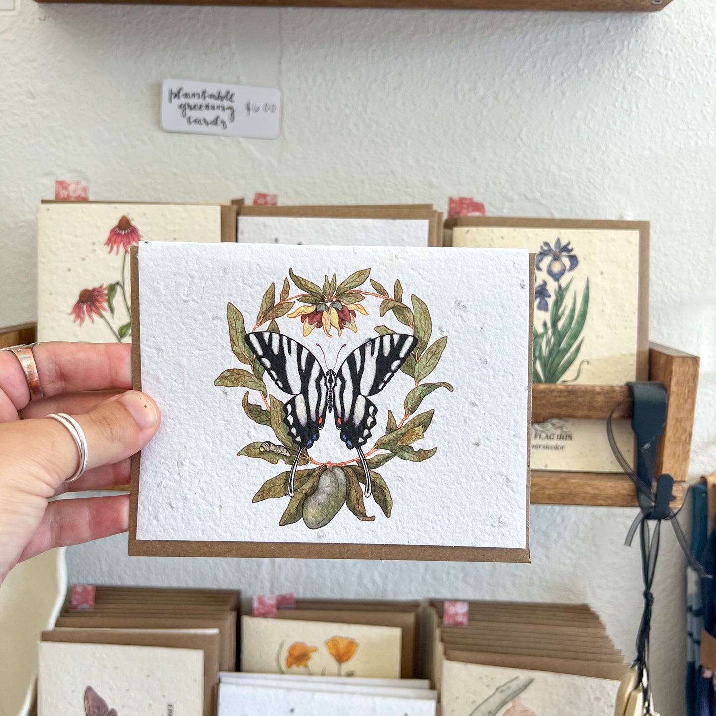 Greeting Cards