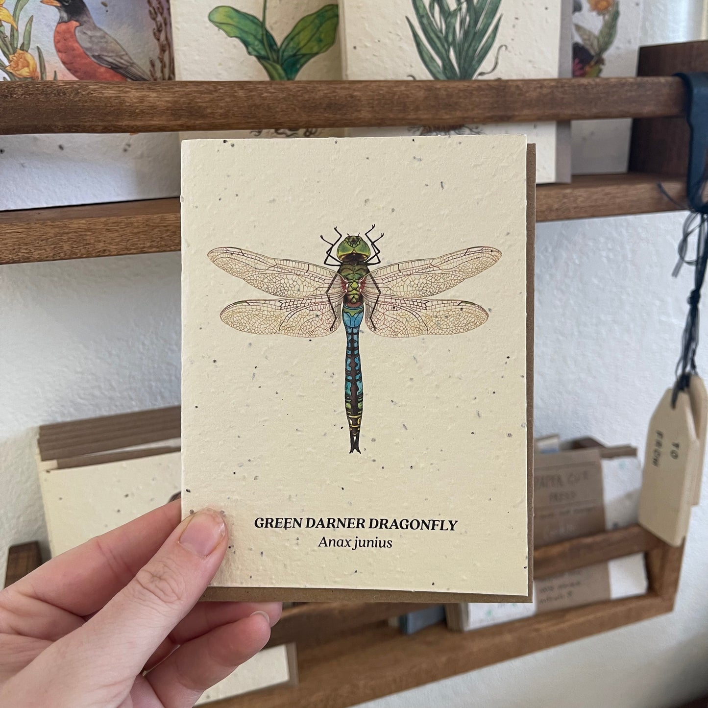 Greeting Cards