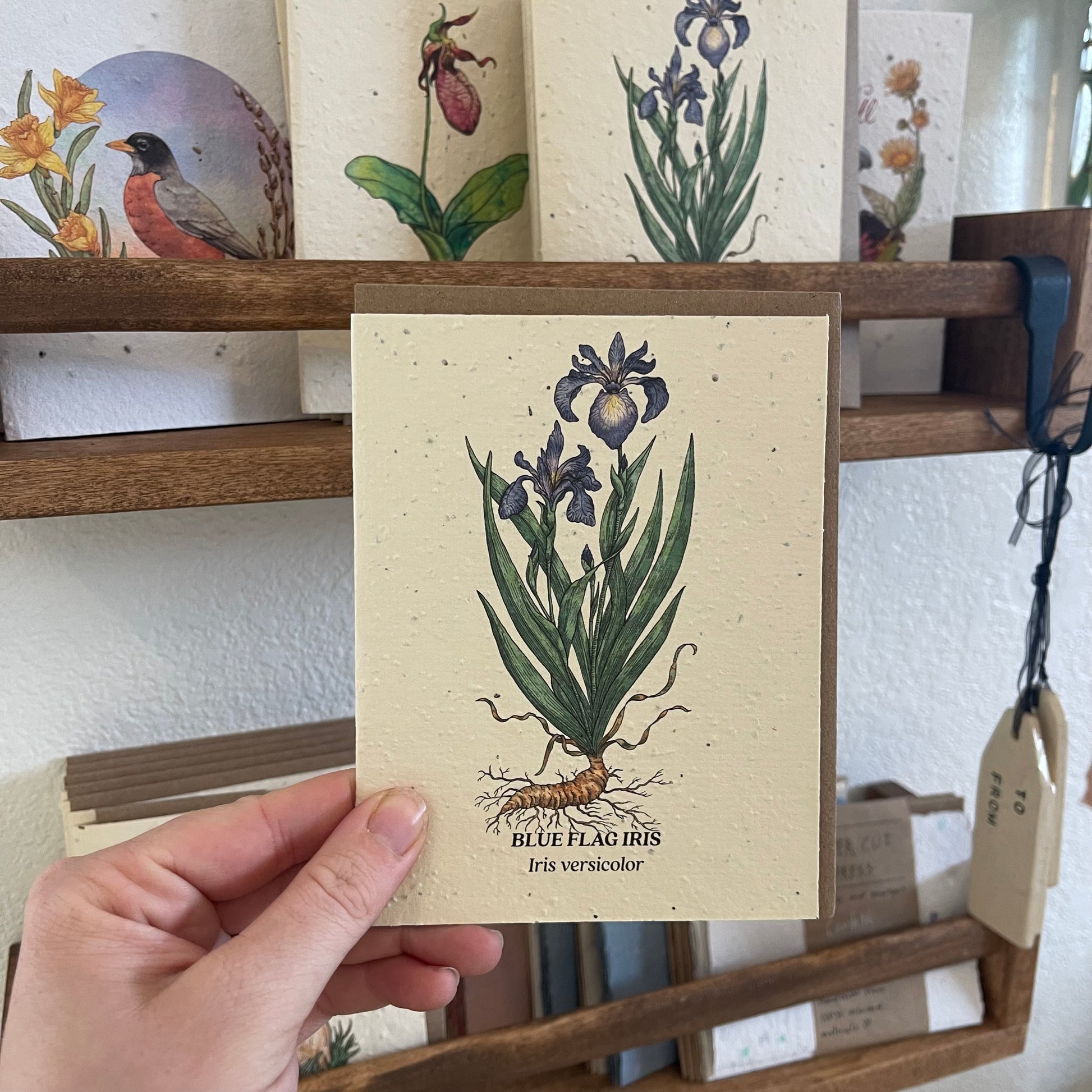 Greeting Cards