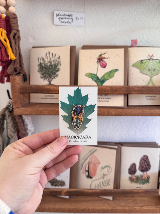 Wooden Pin