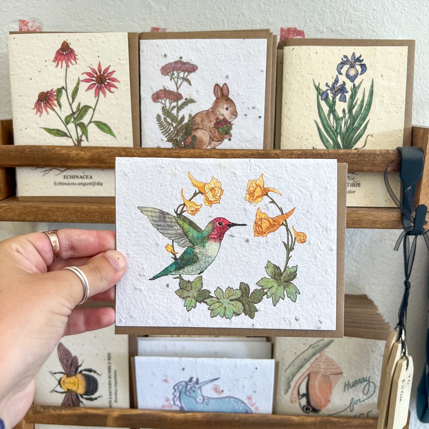 Greeting Cards