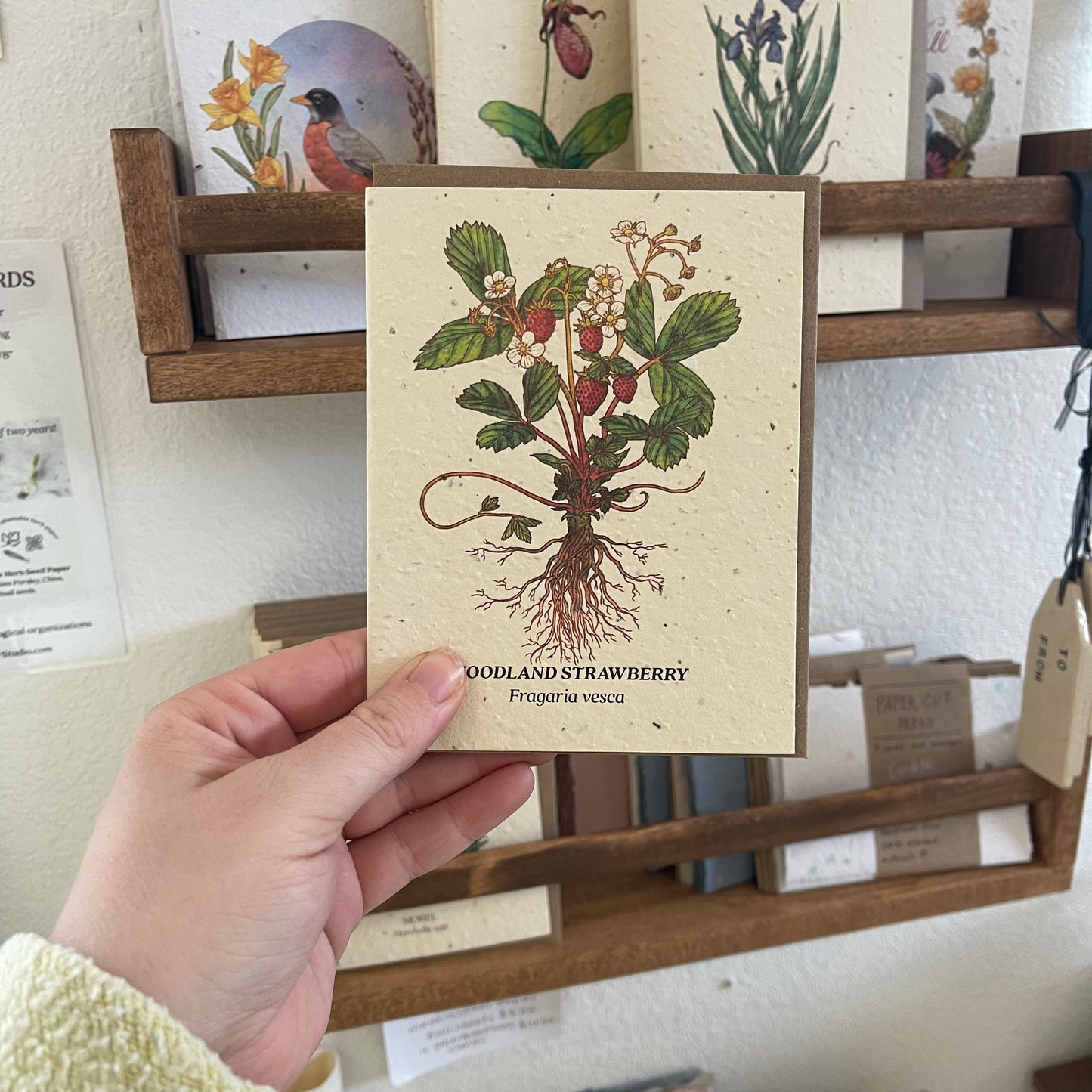 Greeting Cards