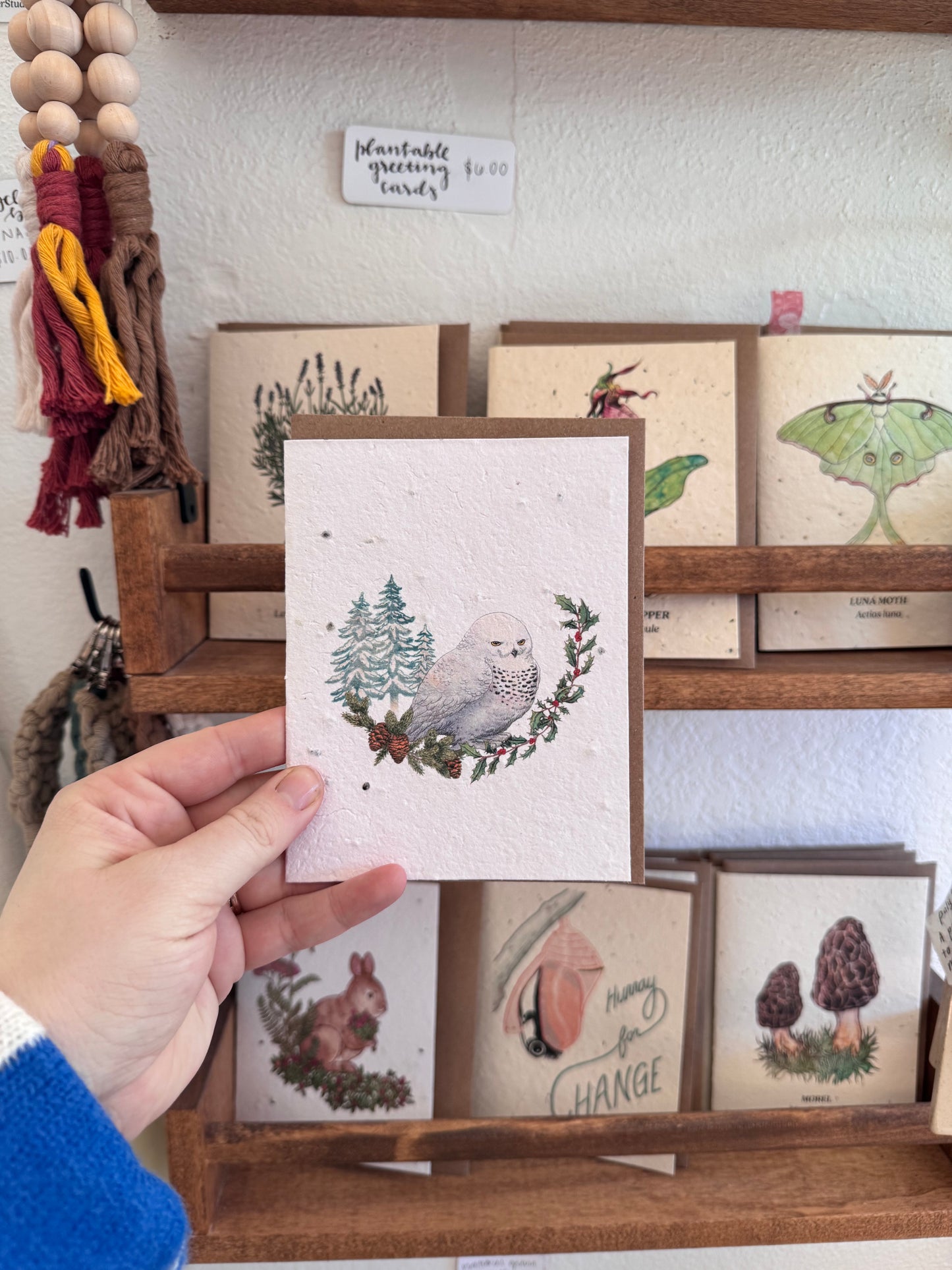 Greeting Cards - Plantable [Bower Studio]