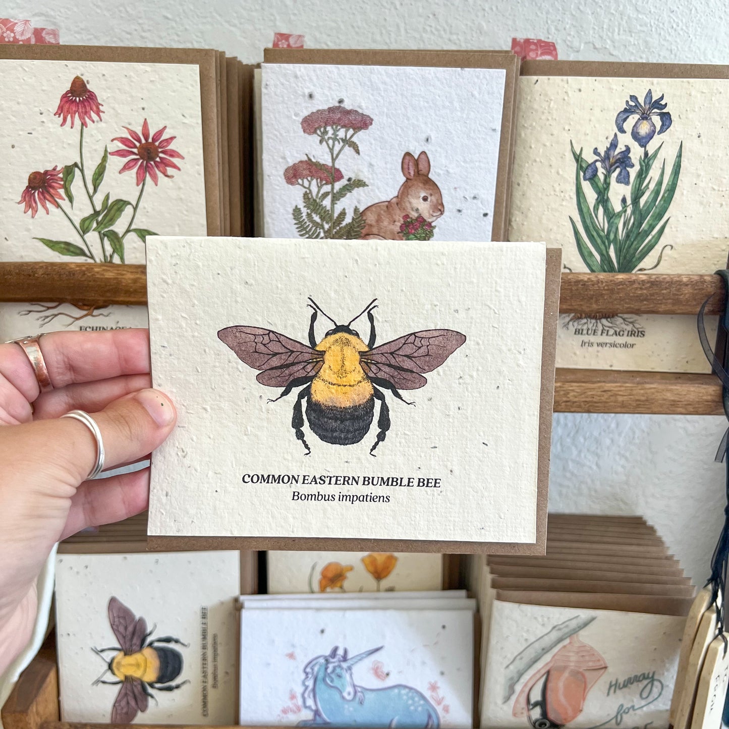 Greeting Cards