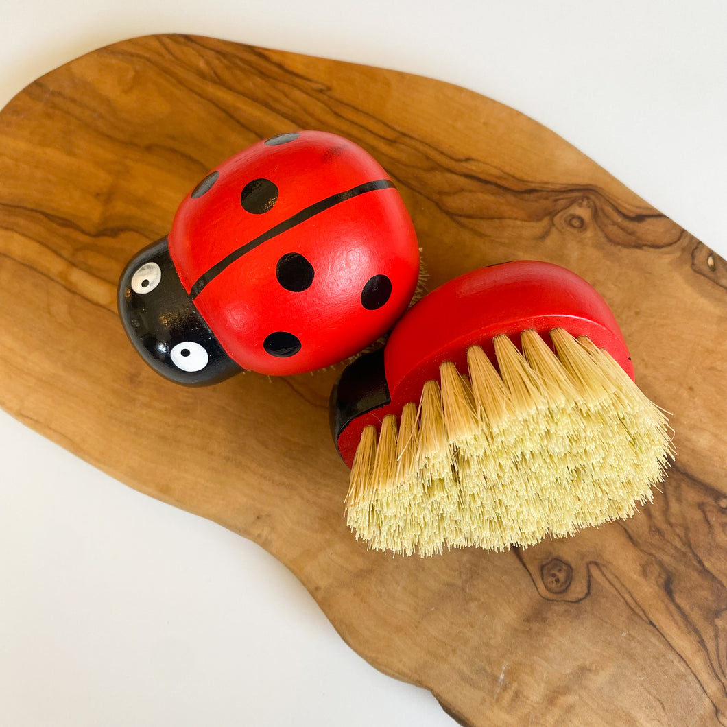 Ladybug Brush [Zefiro]