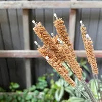 Straw Cleaner