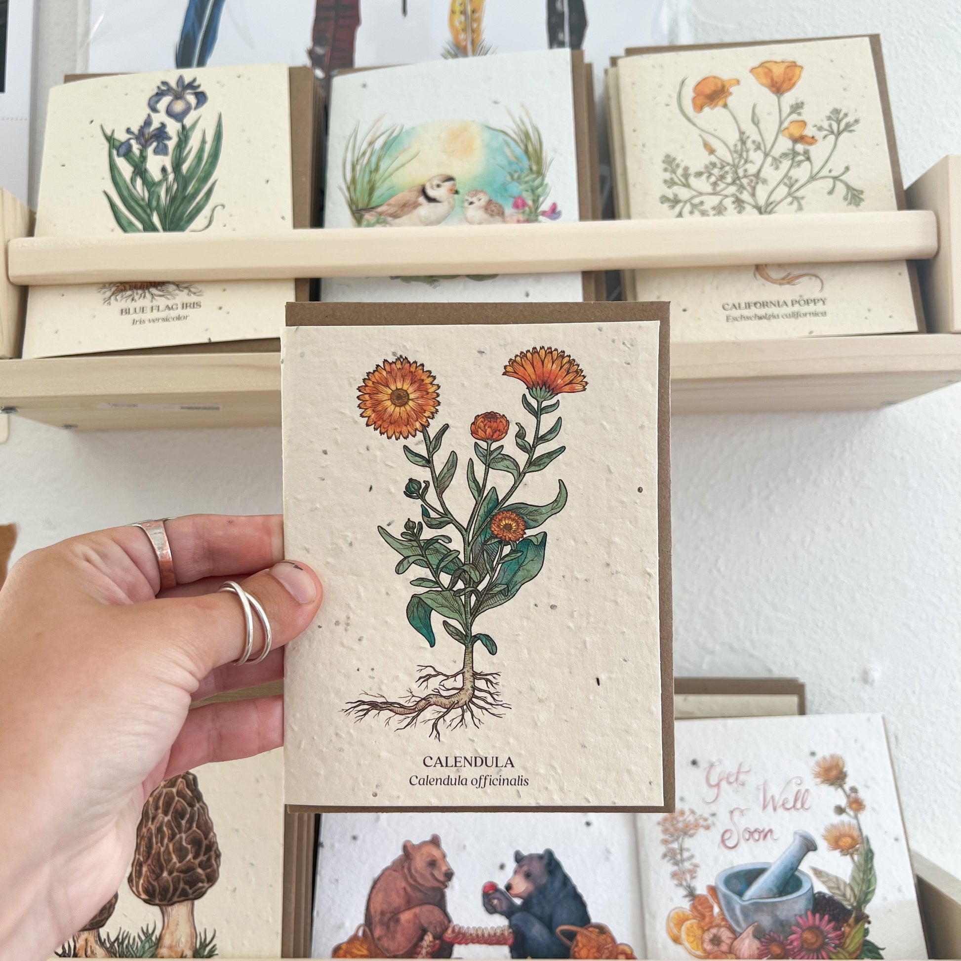 Greeting Cards