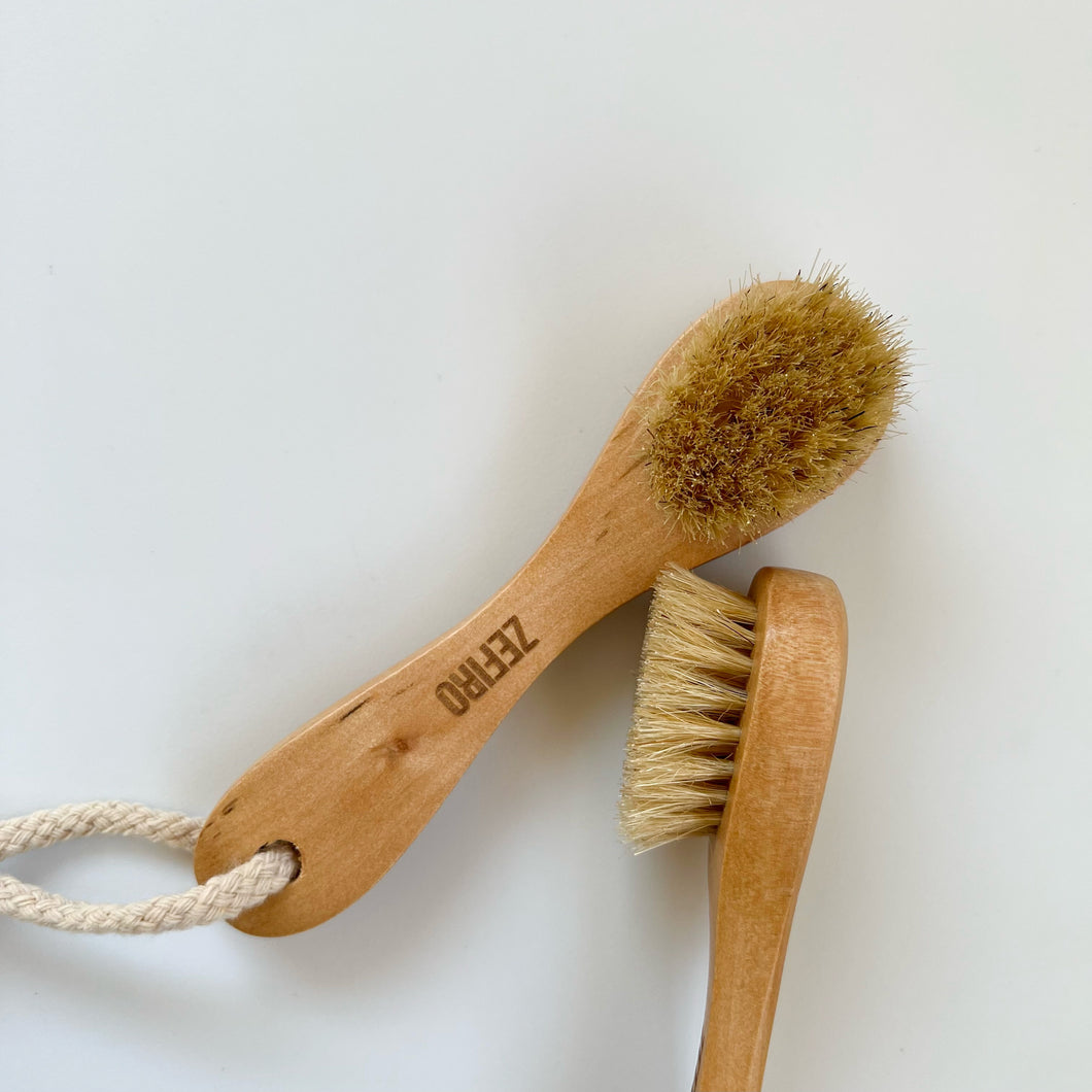 Dry/Wet Face Brush