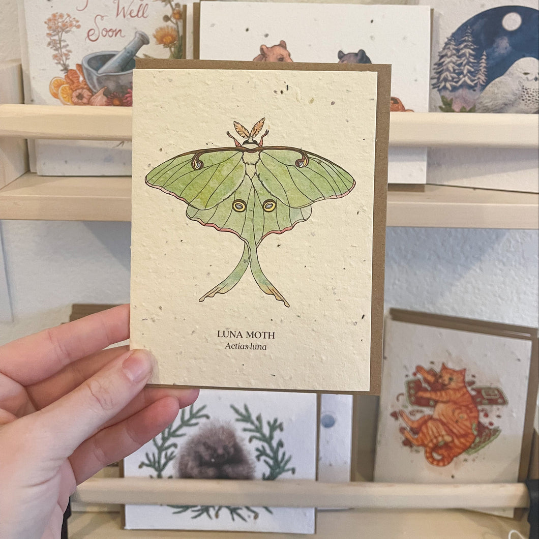 Greeting Cards