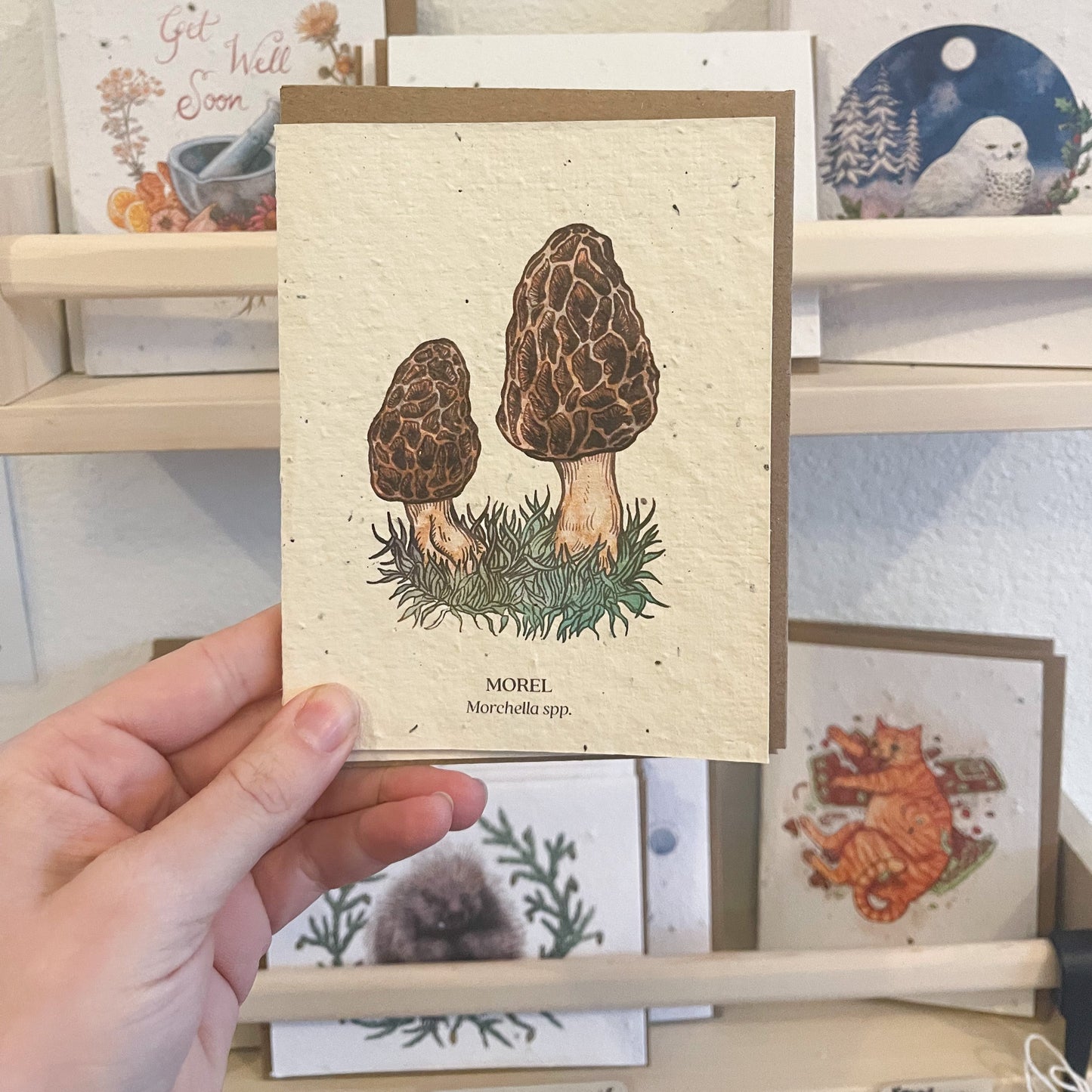 Greeting Cards