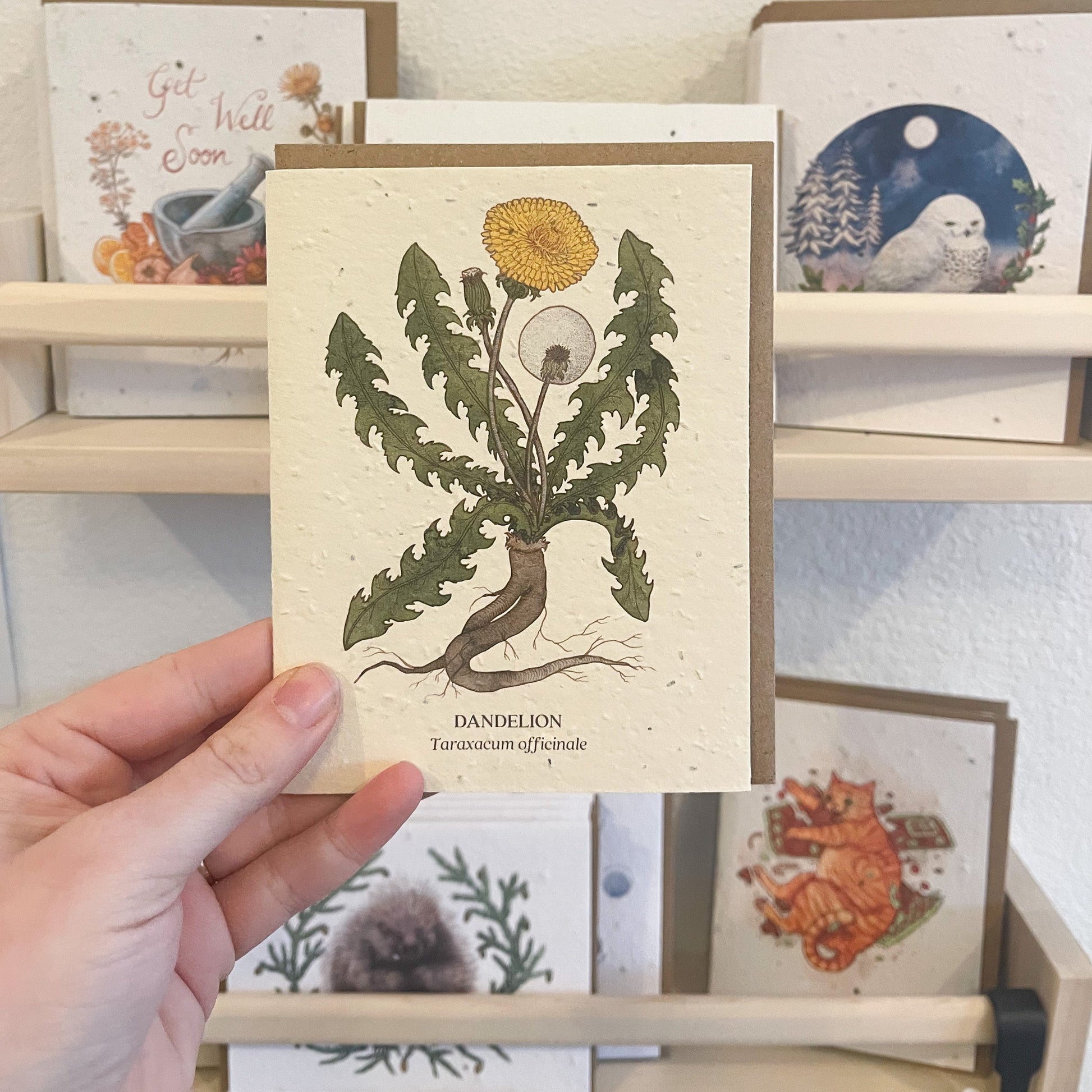 Greeting Cards