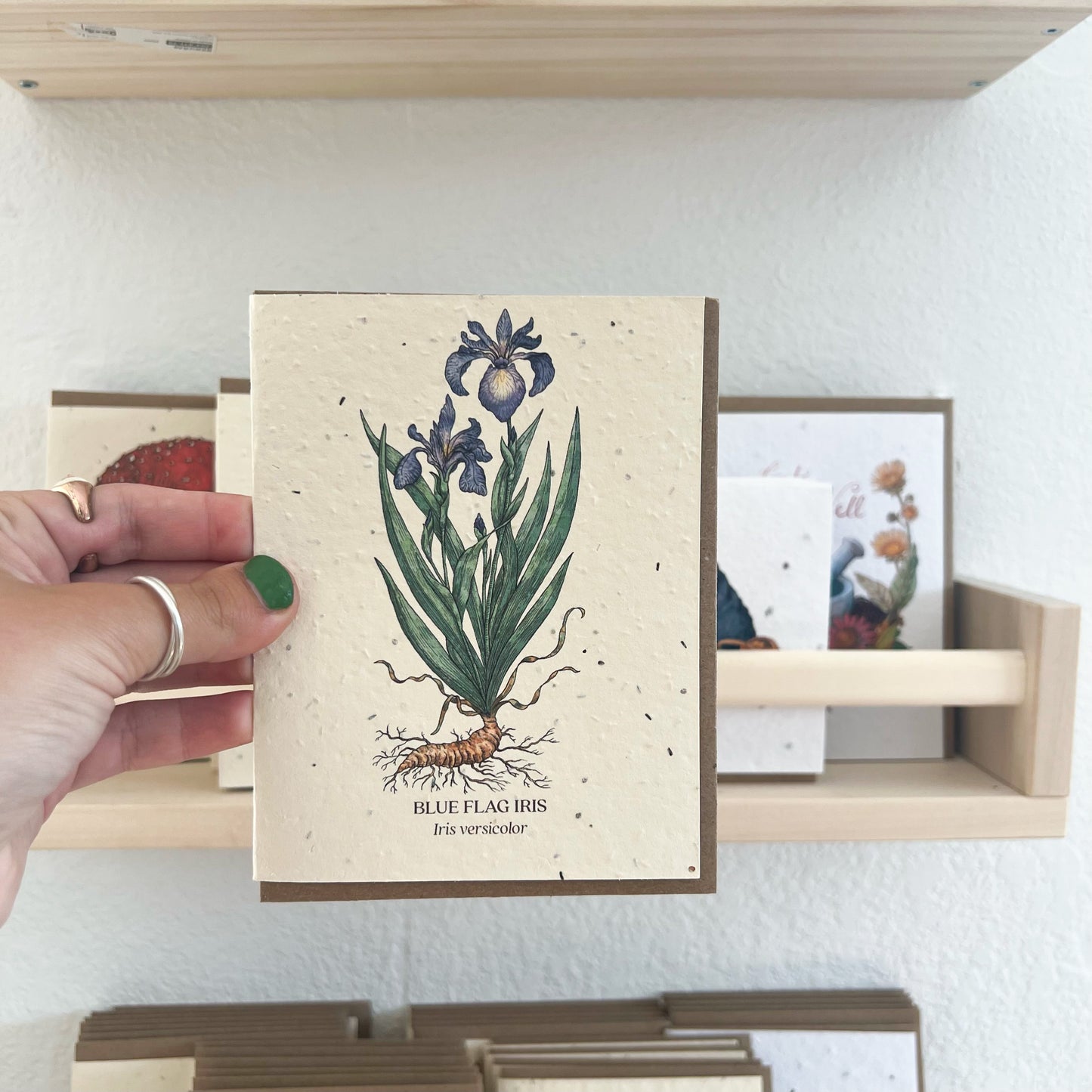Greeting Cards