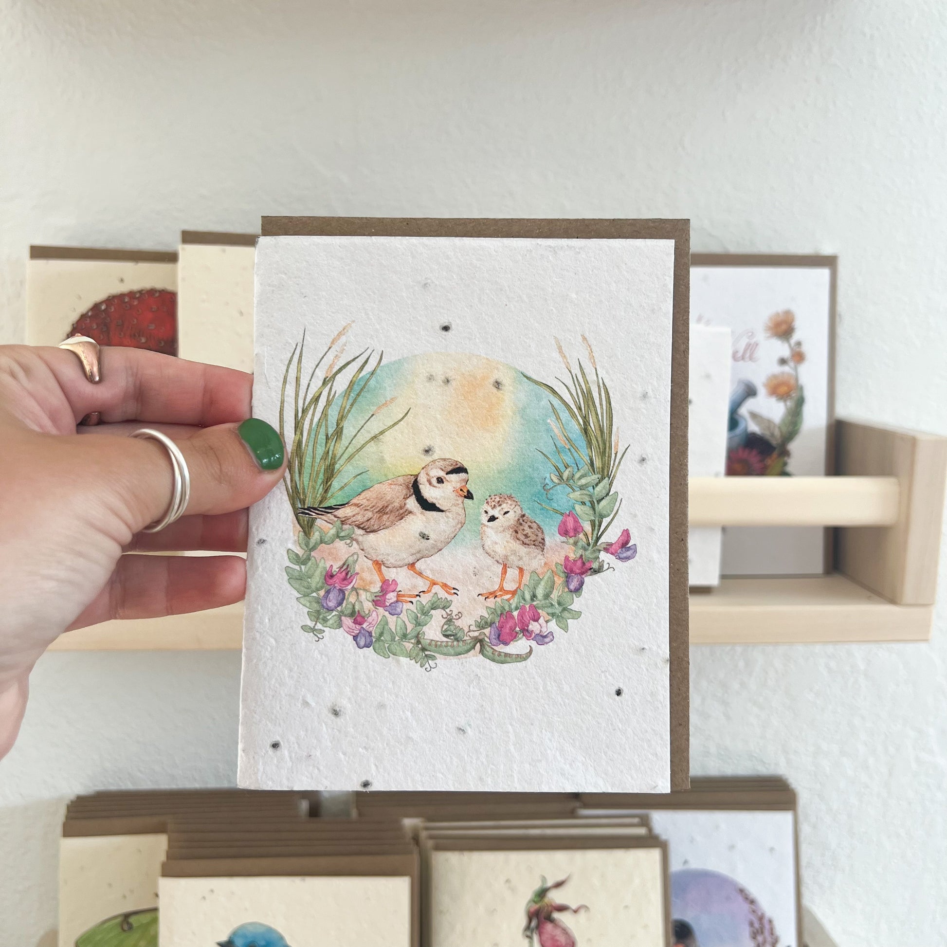 Greeting Cards